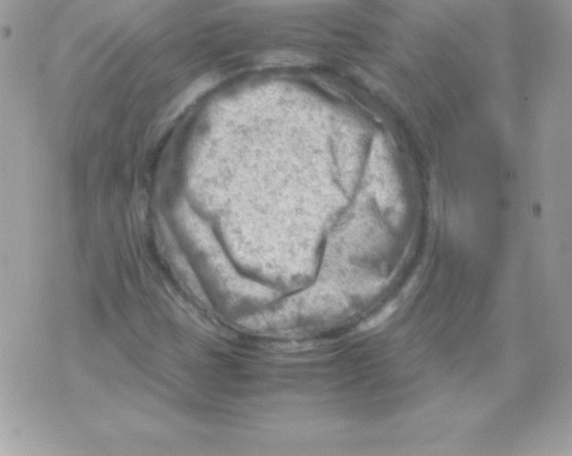 X0000070831401200607142329