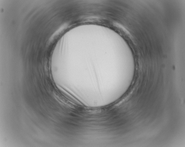 X0000070831403200607142329