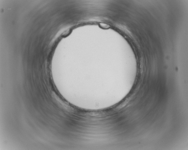 X0000070831404200607142329