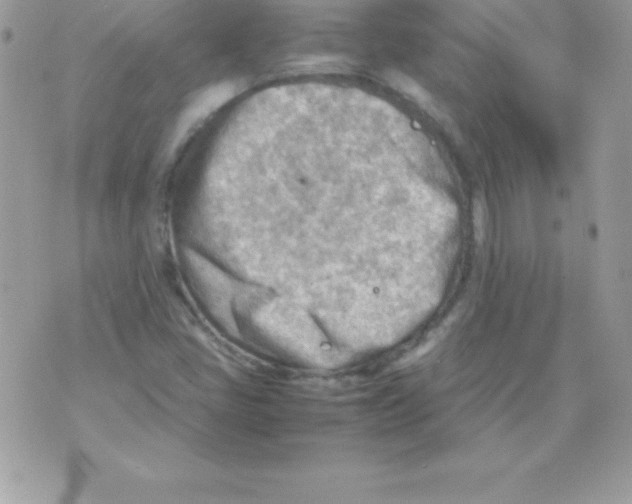 X0000070831405200607142329