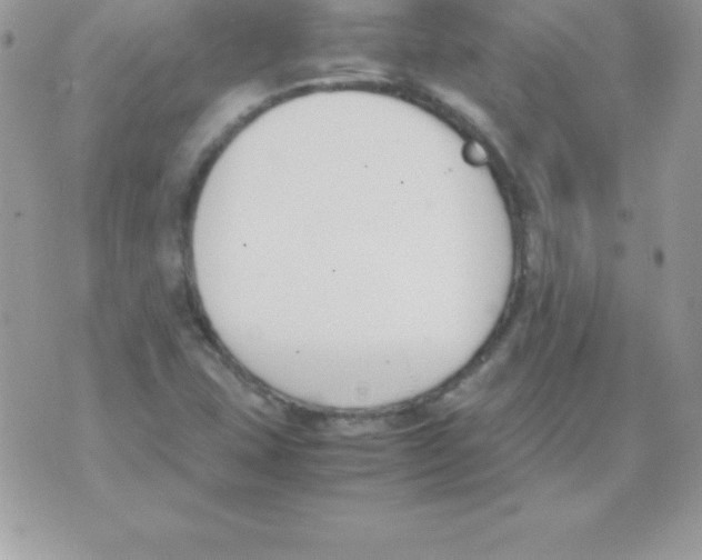 X0000070831407200607142329