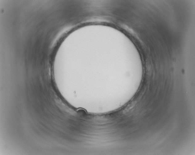 X0000070831408200607142329