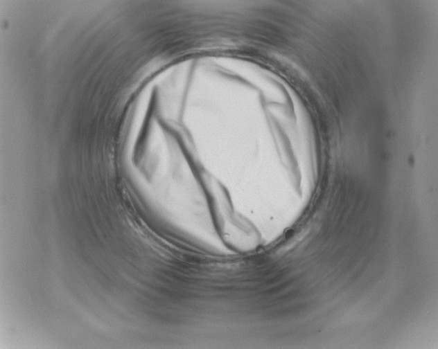 X0000070831409200607142329