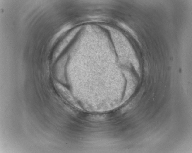 X0000070831411200607142329