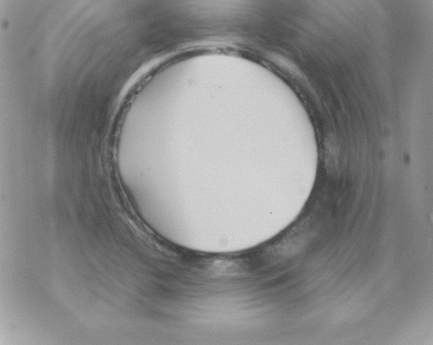 X0000070831412200607142329