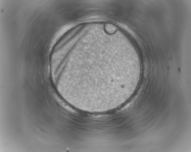 X0000070831413200607142329