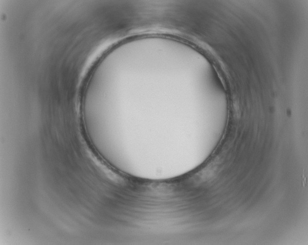 X0000070831416200607142329