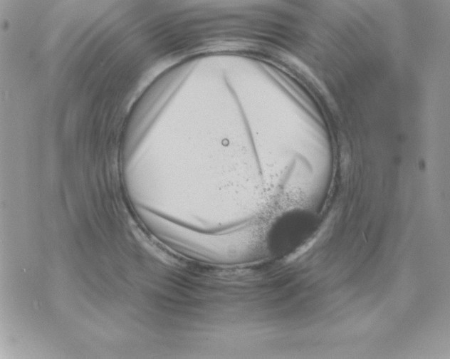 X0000070831417200607142329