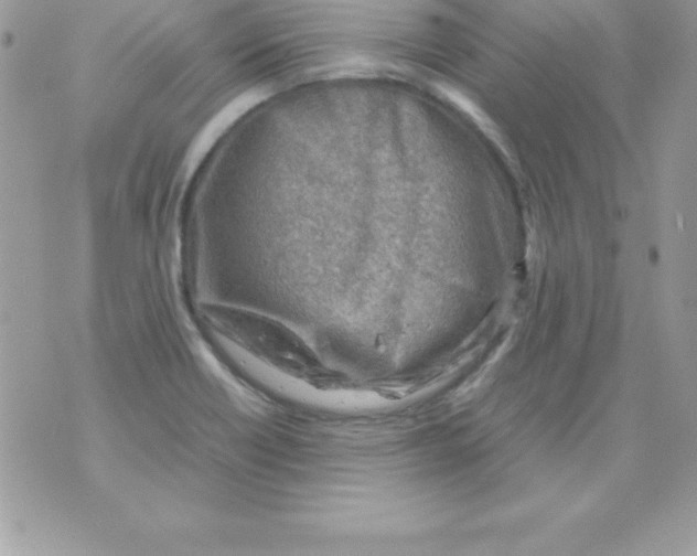 X0000070831418200607142329