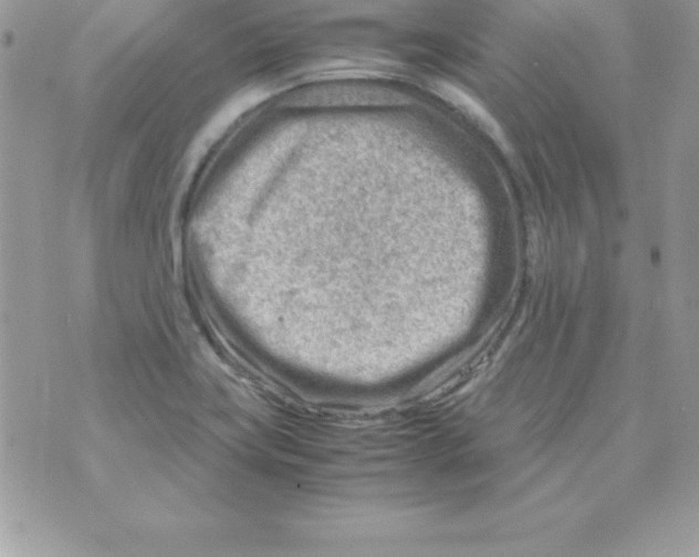 X0000070831419200607142329