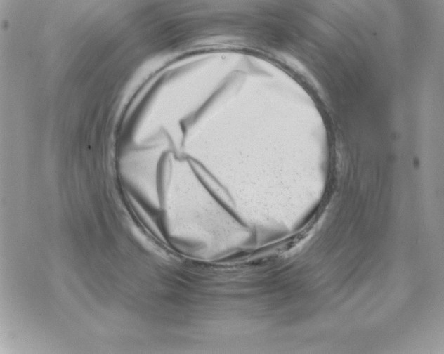 X0000070831421200607142329