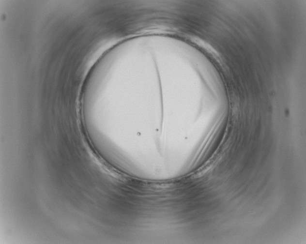 X0000070831423200607142329