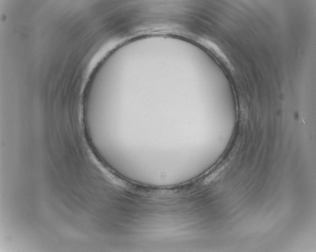 X0000070831424200607142329