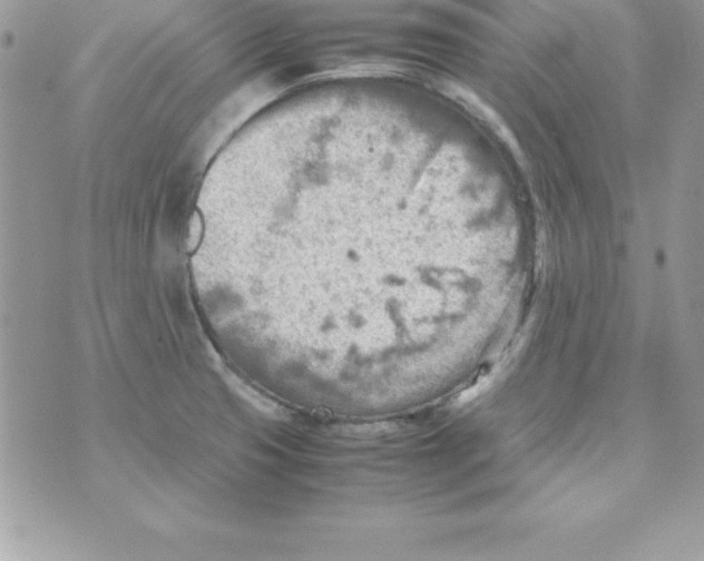 X0000070831425200607142329