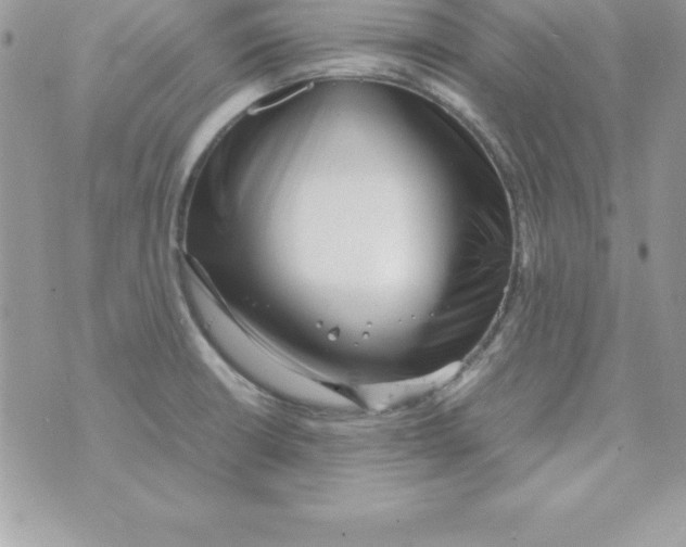 X0000070831426200607142329