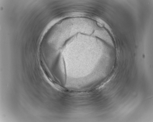 X0000070831429200607142329