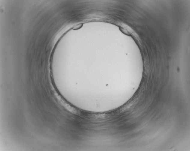 X0000070831431200607142330