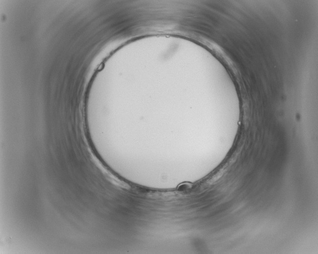 X0000070831432200607142330