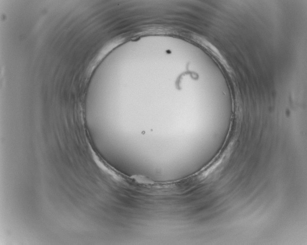 X0000070831433200607142330