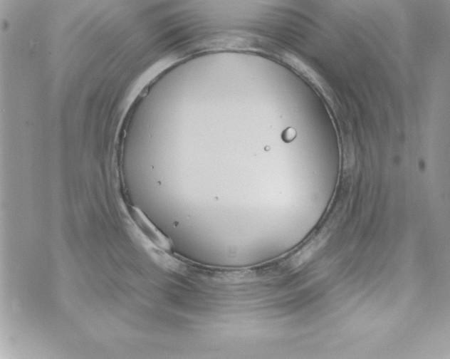 X0000070831434200607142330