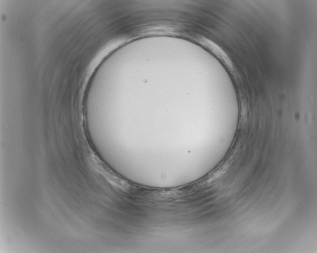 X0000070831435200607142330