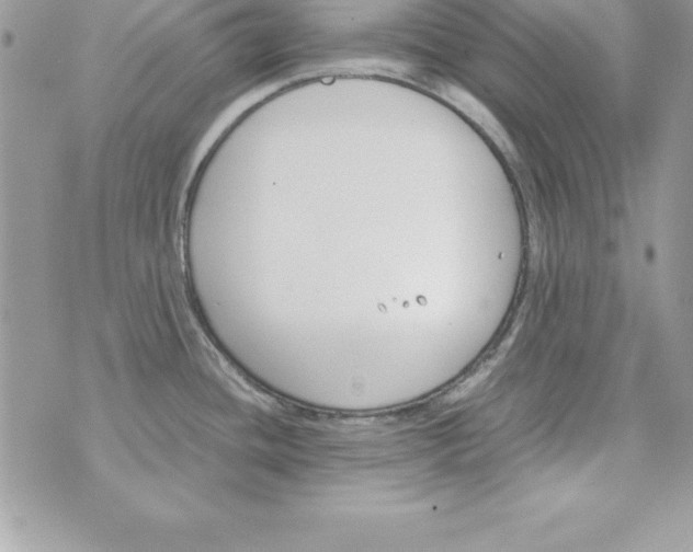 X0000070831436200607142330