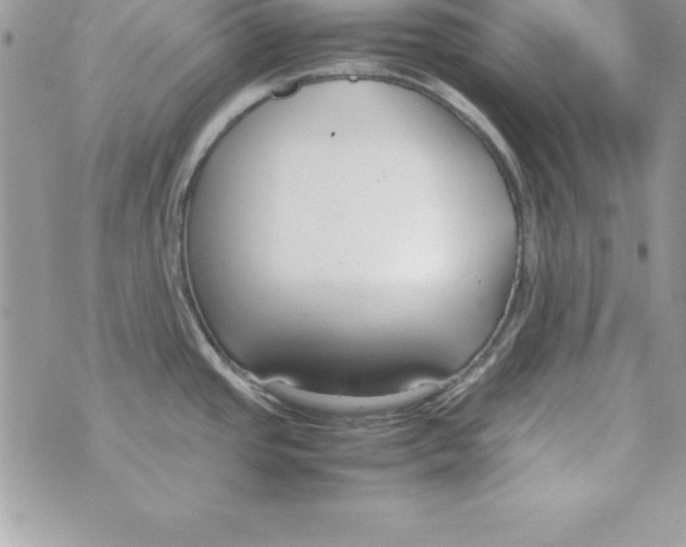 X0000070831437200607142330