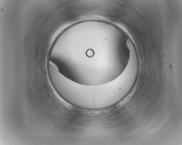 X0000070831438200607142330