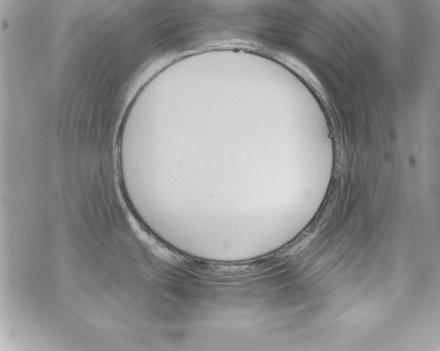 X0000070831439200607142330