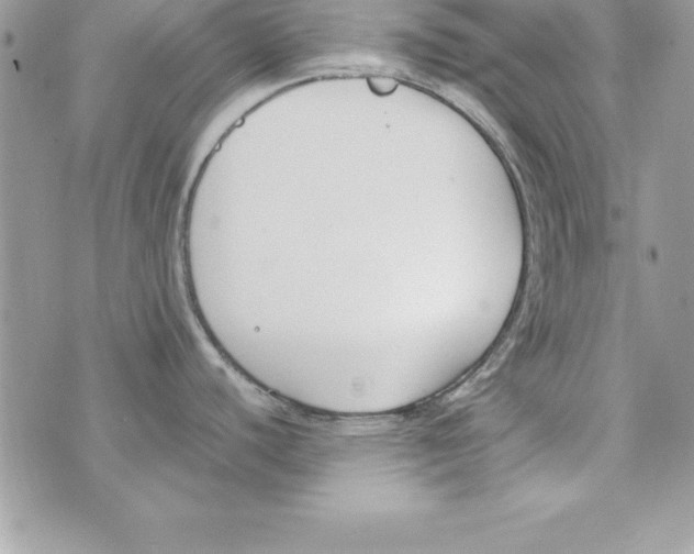 X0000070831440200607142330