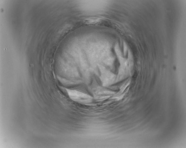 X0000070831441200607142329