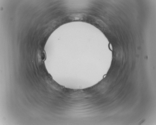 X0000070831442200607142329