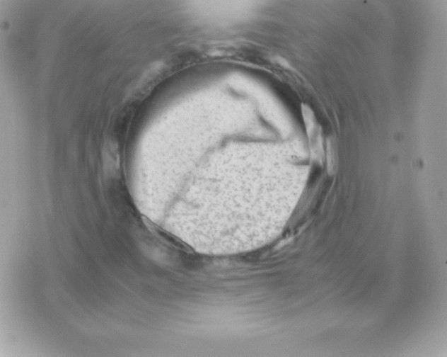 X0000070831443200607142329