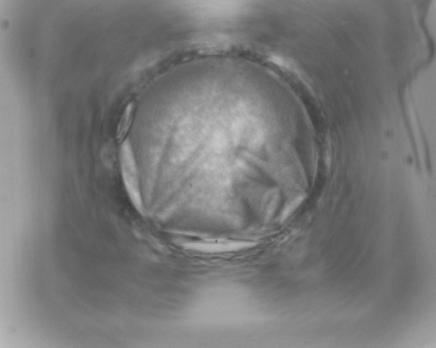 X0000070831445200607142329