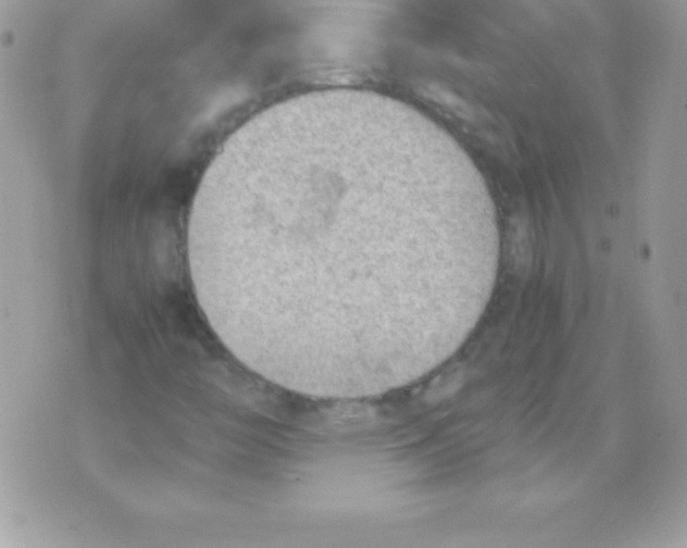 X0000070831446200607142329