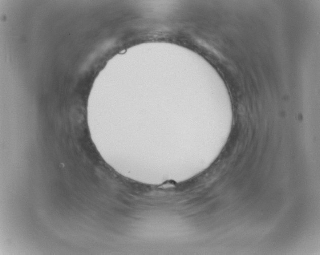 X0000070831447200607142329