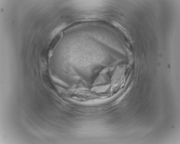 X0000070831449200607142329