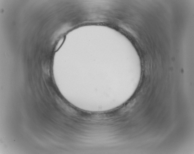 X0000070831451200607142329