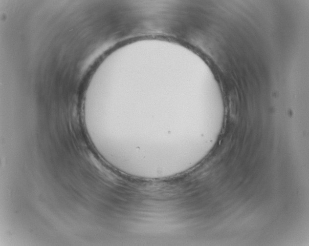 X0000070831452200607142329