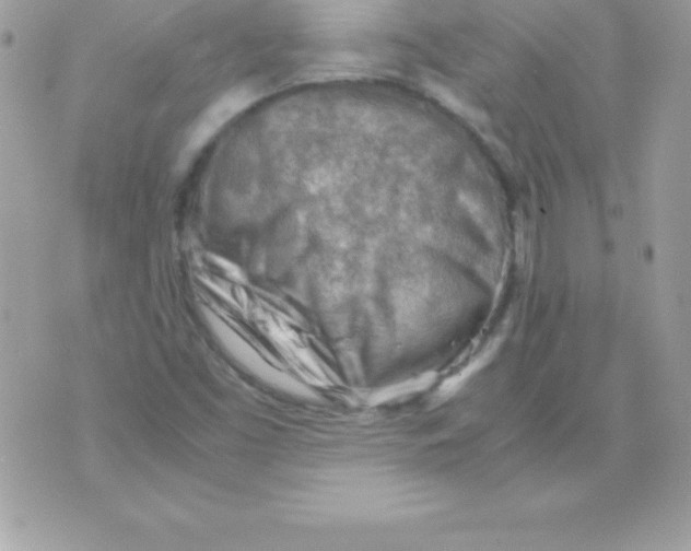 X0000070831453200607142329