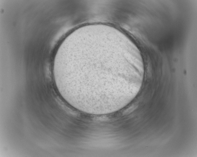 X0000070831454200607142329