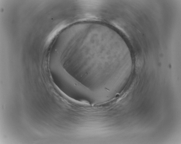 X0000070831455200607142329