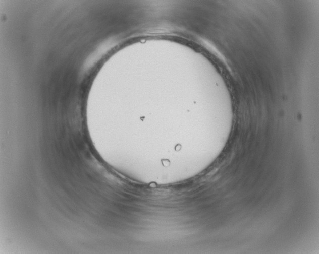 X0000070831456200607142329