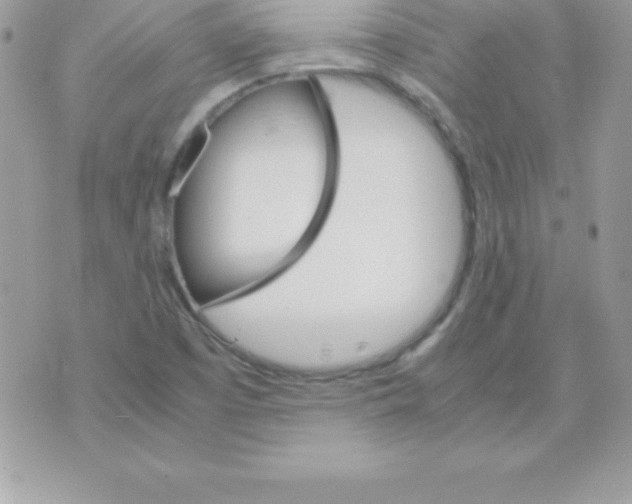 X0000070831457200607142329