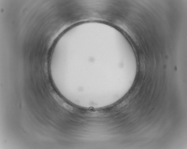 X0000070831460200607142329