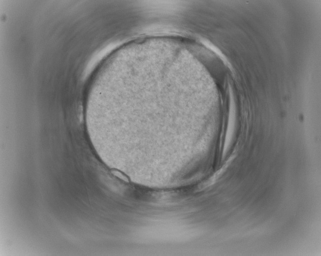 X0000070831461200607142329