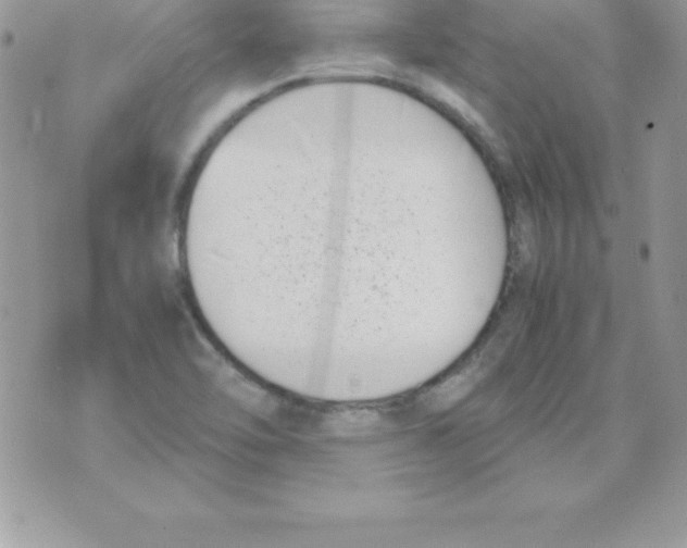 X0000070831462200607142329