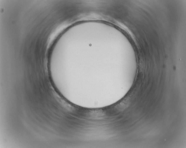 X0000070831464200607142329