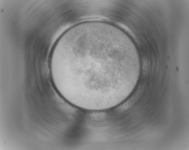 X0000070831466200607142328