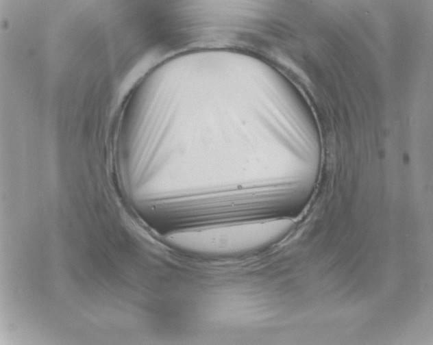 X0000070831467200607142328